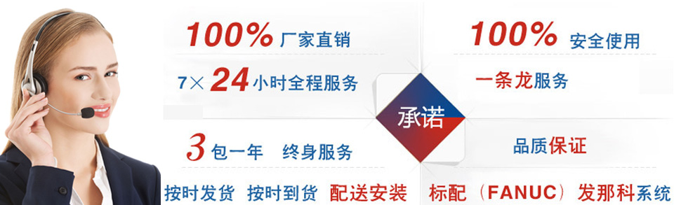 液壓貨梯 導(dǎo)軌式升降機 液壓升降機